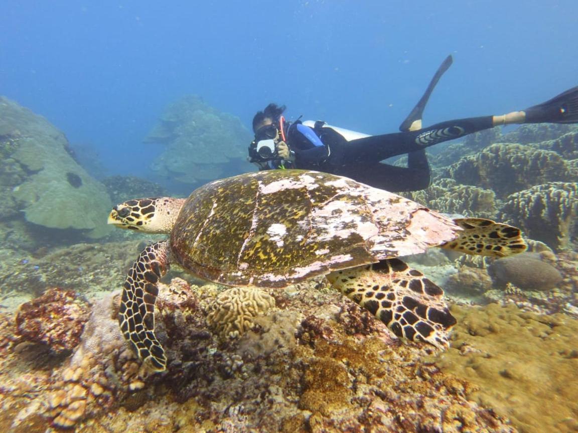The Sagara Penida Nusa Penida Bagian luar foto