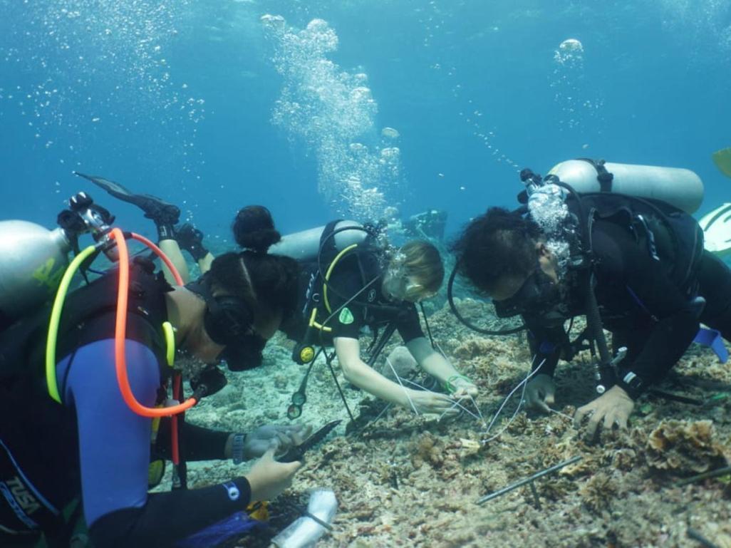 The Sagara Penida Nusa Penida Ruang foto